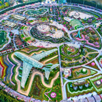 Top View Of Dubai Miracle Garden | Dubai Holidays